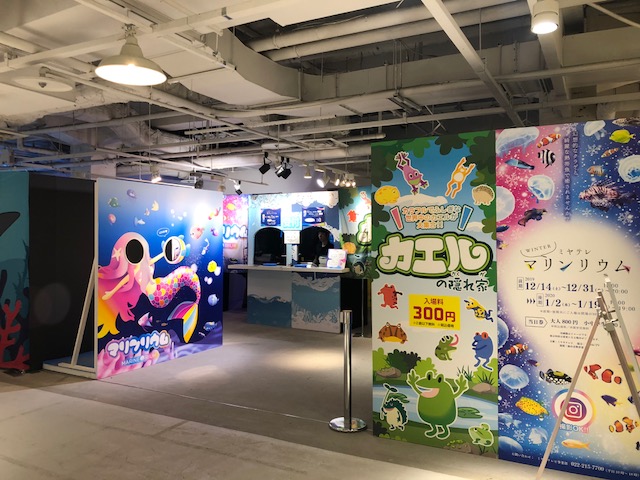 新年は1 2 木 開催 ミヤテレマリンリウムに行ってきた 日刊せんだいタウン情報s Style Web