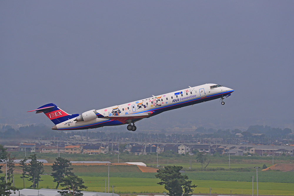 飛行機に乗って夢をかなえよう！「IBEXエアラインズ 宮城ミライ