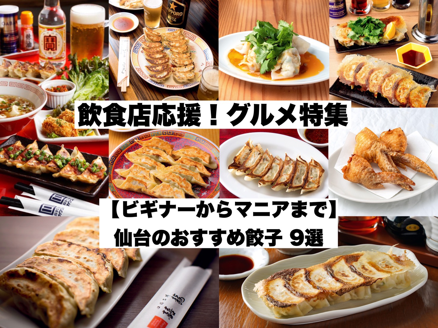 ビギナーからマニアまで 仙台のおすすめ餃子9選 テイクアウトも 日刊せんだいタウン情報s Style Web
