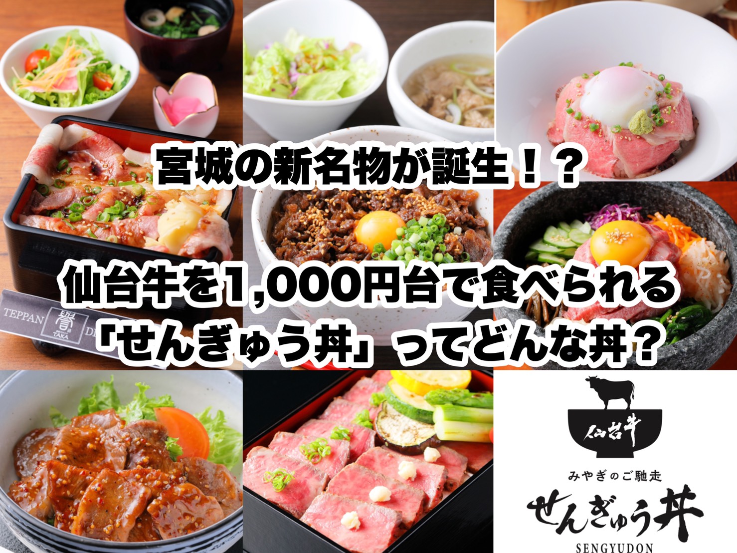 宮城の新名物が誕生 仙台牛を1 000円台で食べられる せんぎゅう丼 とは 日刊せんだいタウン情報s Style Web