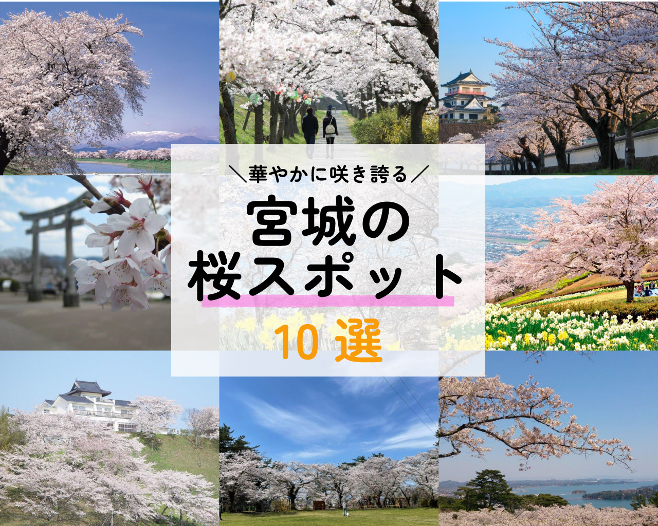 22最新 必見スポットから穴場まで 宮城県内の桜の名所10選 日刊せんだいタウン情報s Style Web