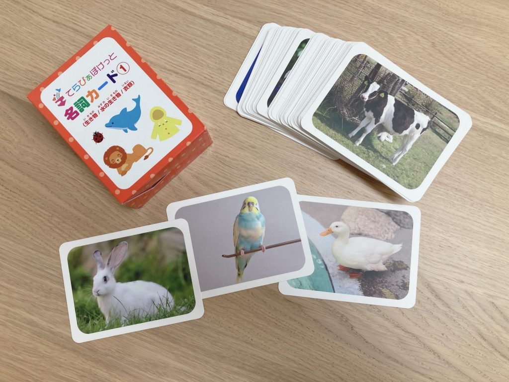 はらぺこあおむし」ソフトブックミニ 通販 | おもちゃ・遊具