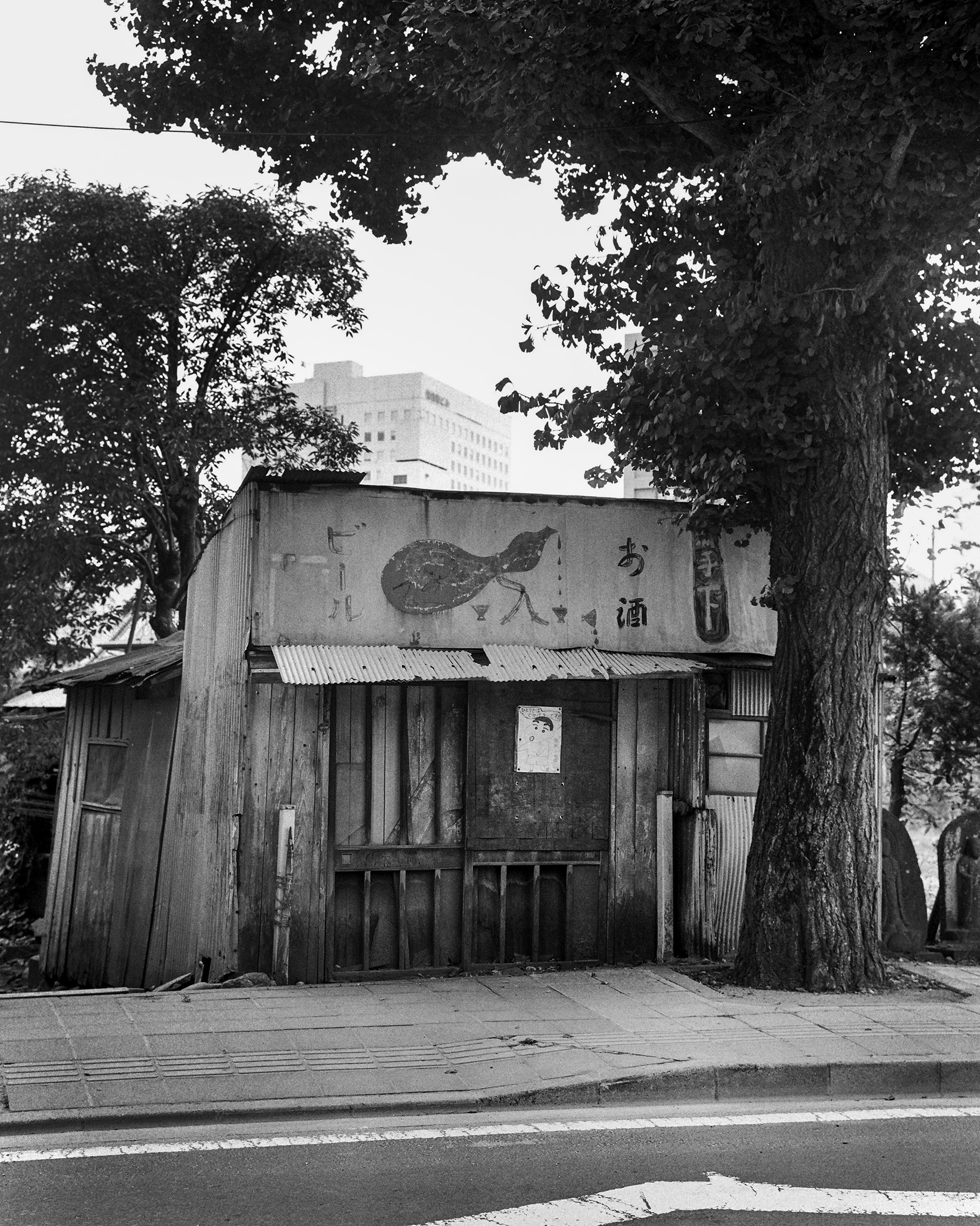 仙台文学館】写真展 仙台コレクション2001-2022 1万枚のメッセージ