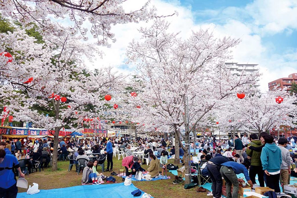 2024最新】お花見におすすめ！仙台・宮城の桜スポット22選 | 日刊せんだいタウン情報S-style Web