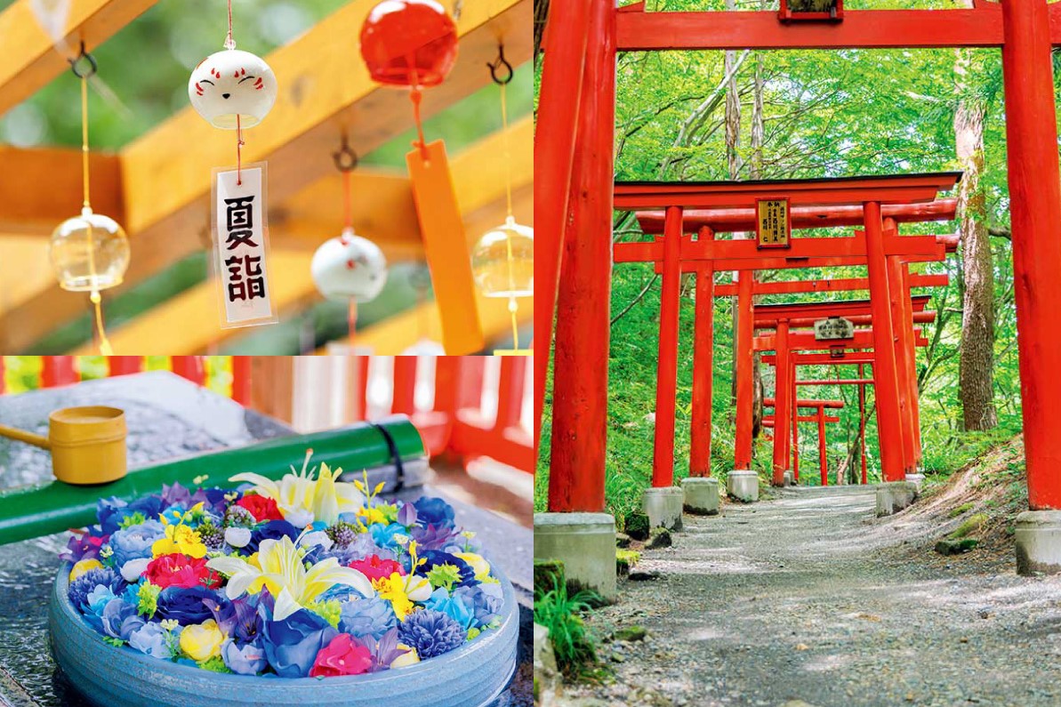 【風船さま専用】神社・鳥居＆竹・枝垂れ桜・クロマツ（Nゲージ） 神社お参りの新定番！】宮城の夏詣（なつもうで）3選 | 日刊せんだい