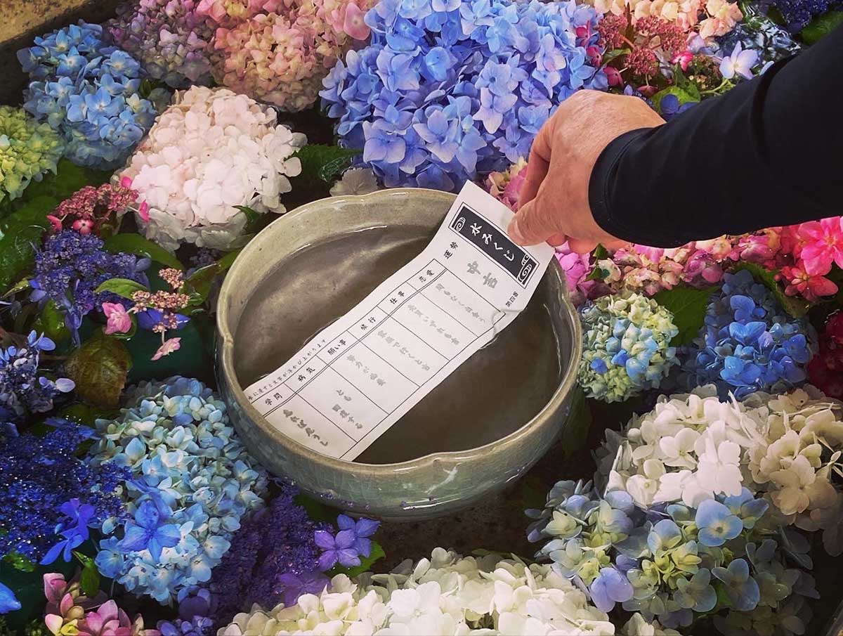 花のまち柴田」の初夏の花イベント | 日刊せんだいタウン情報S-style Web