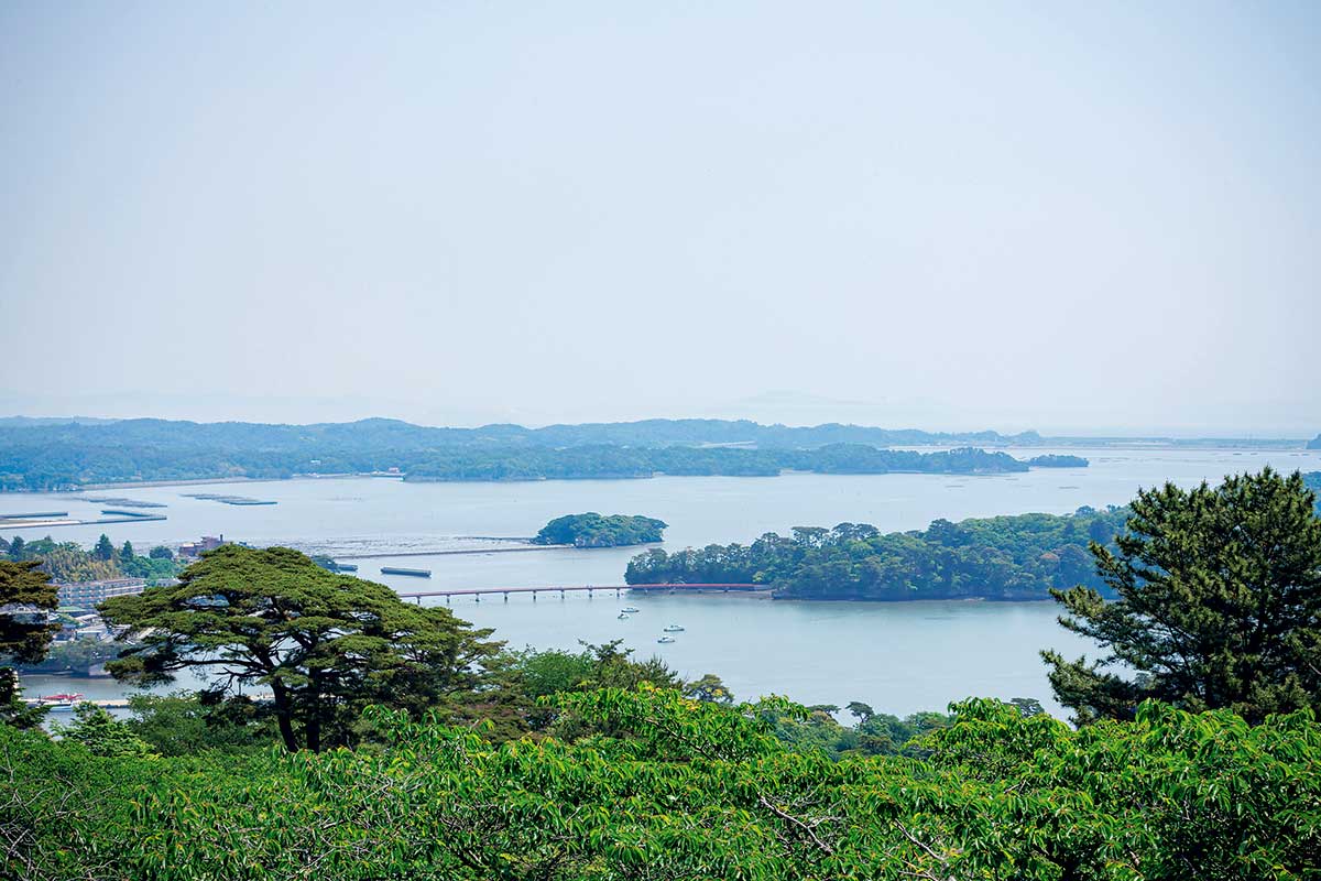 松島旅行 専用 a4d8d9a00c629de59f8d56b50f0c26 その他
