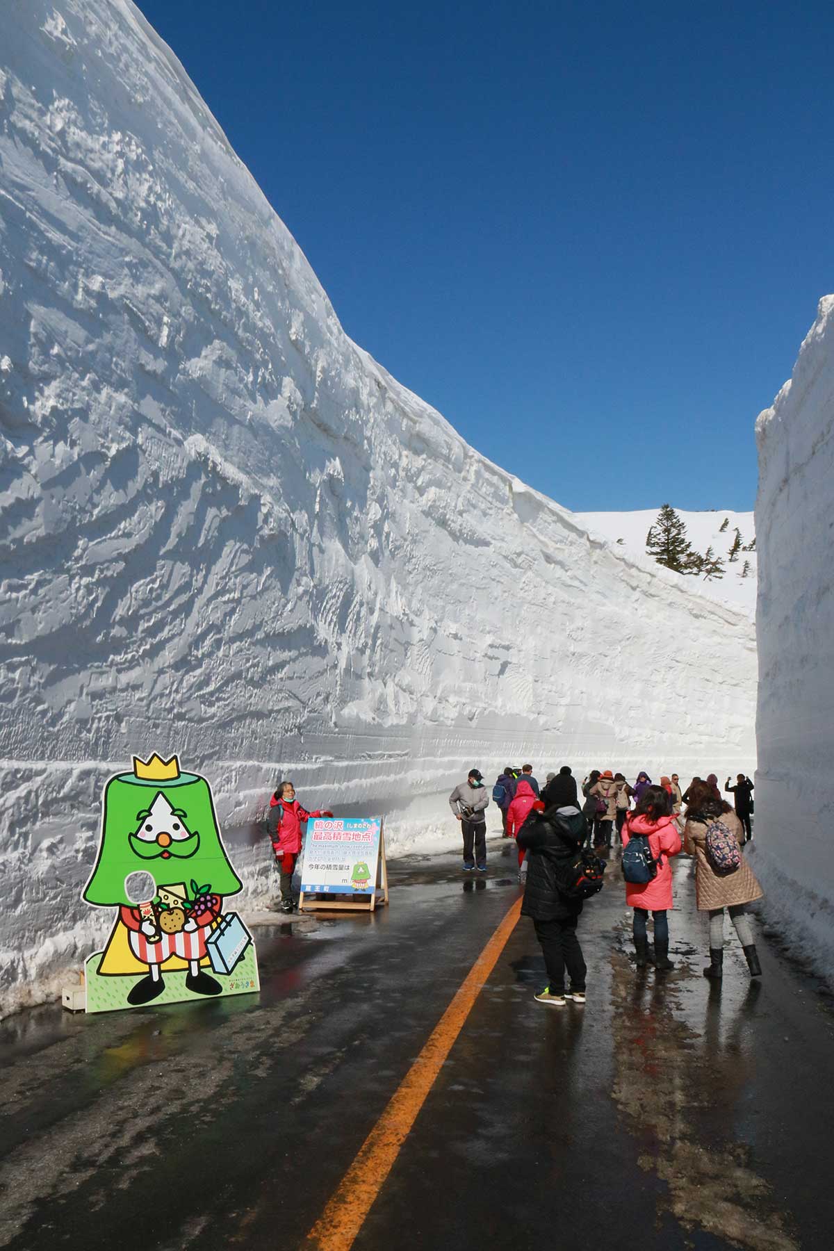 9mもの雪の巨壁！】蔵王エコーライン 雪の壁ウォーク | 日刊せんだい