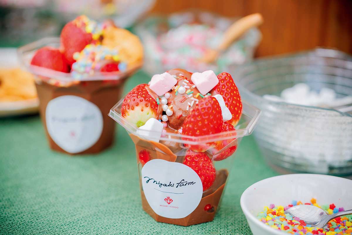 宮城・山元町】MIGAKI FARMのいちご狩りが話題！プレミアムプラン